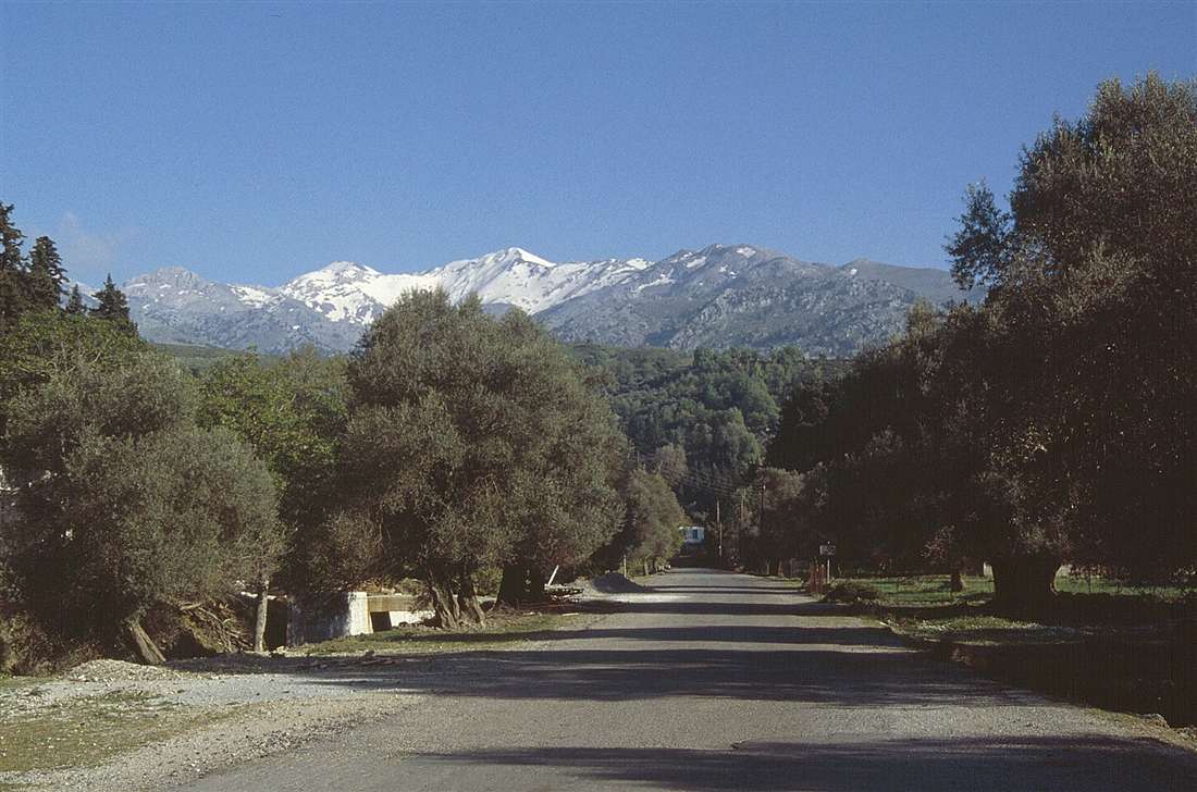 The road to Therisso south of Chania, lined with olive trees below the snow-capped White Mountains of Crete