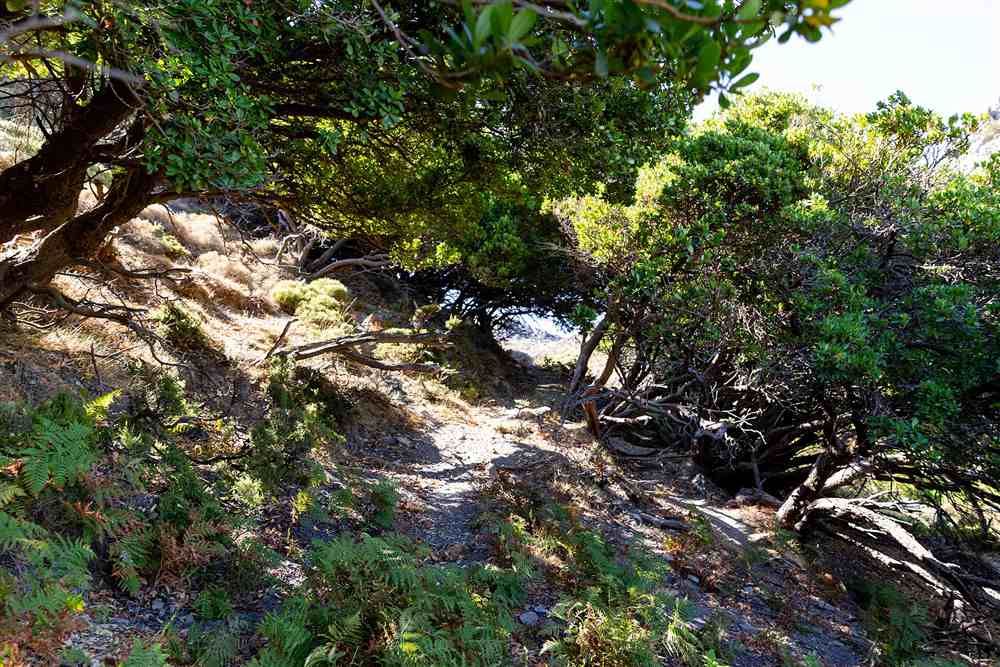 A mountain hiking trail through the maquis around Milia in west Crete