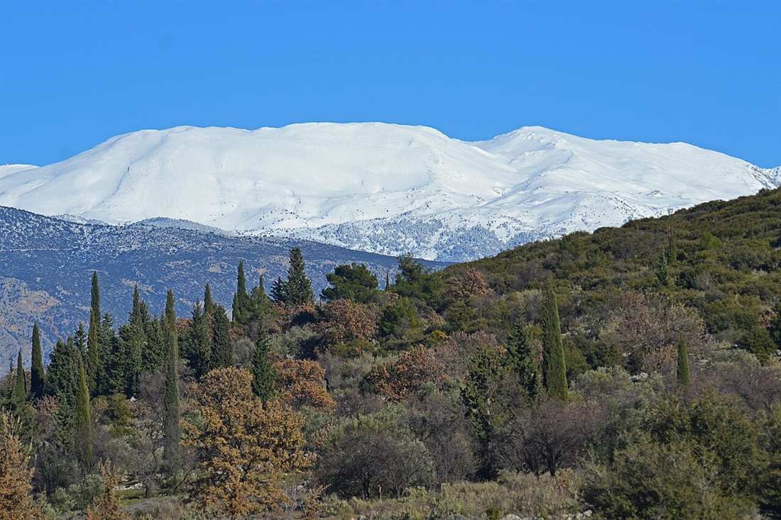 The snow-capped ridge of Mount Parnassus above the forests near Delphi, where the Corycian Cave lies