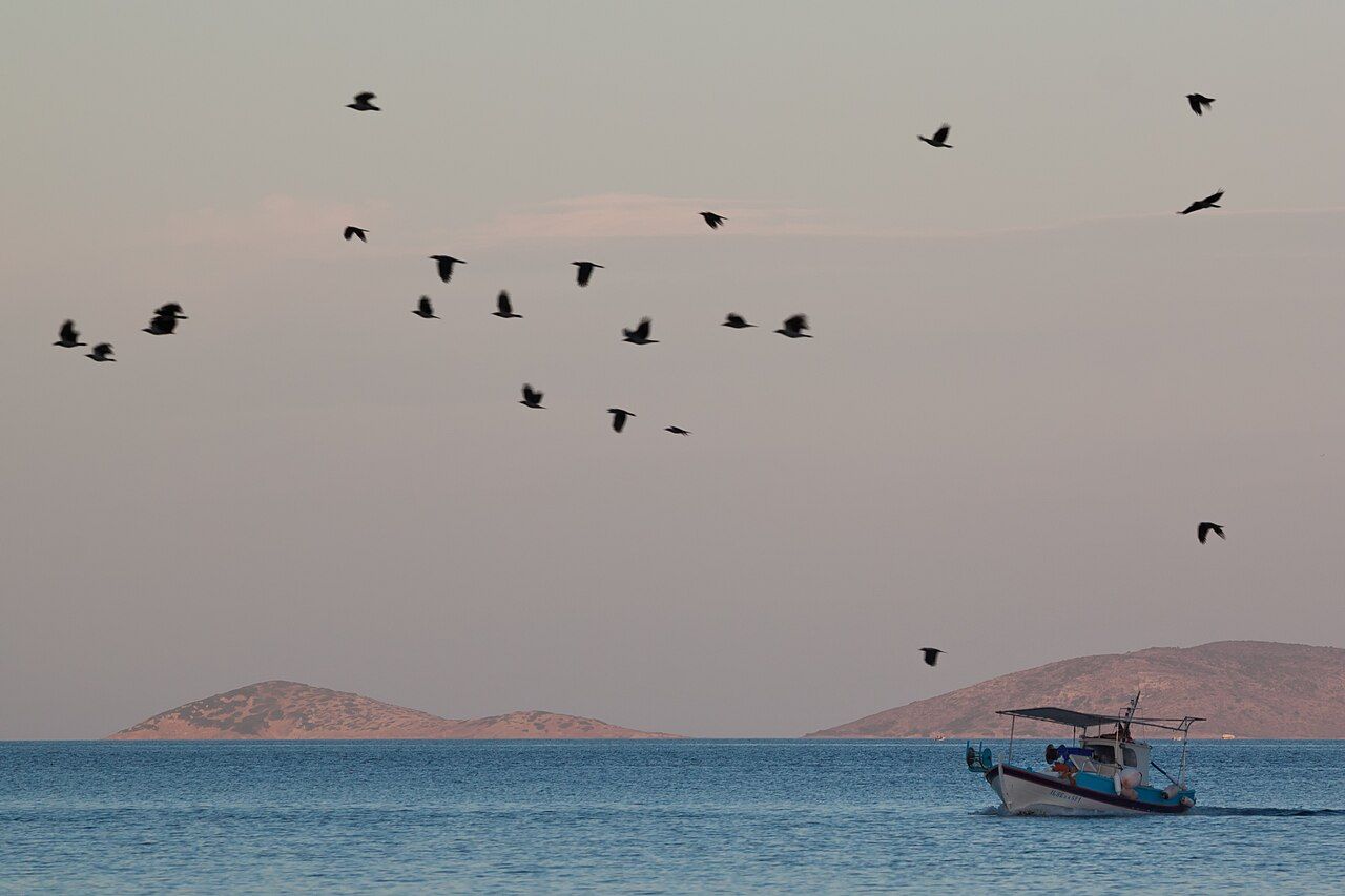A fishing boat heading out to sea off Patmos