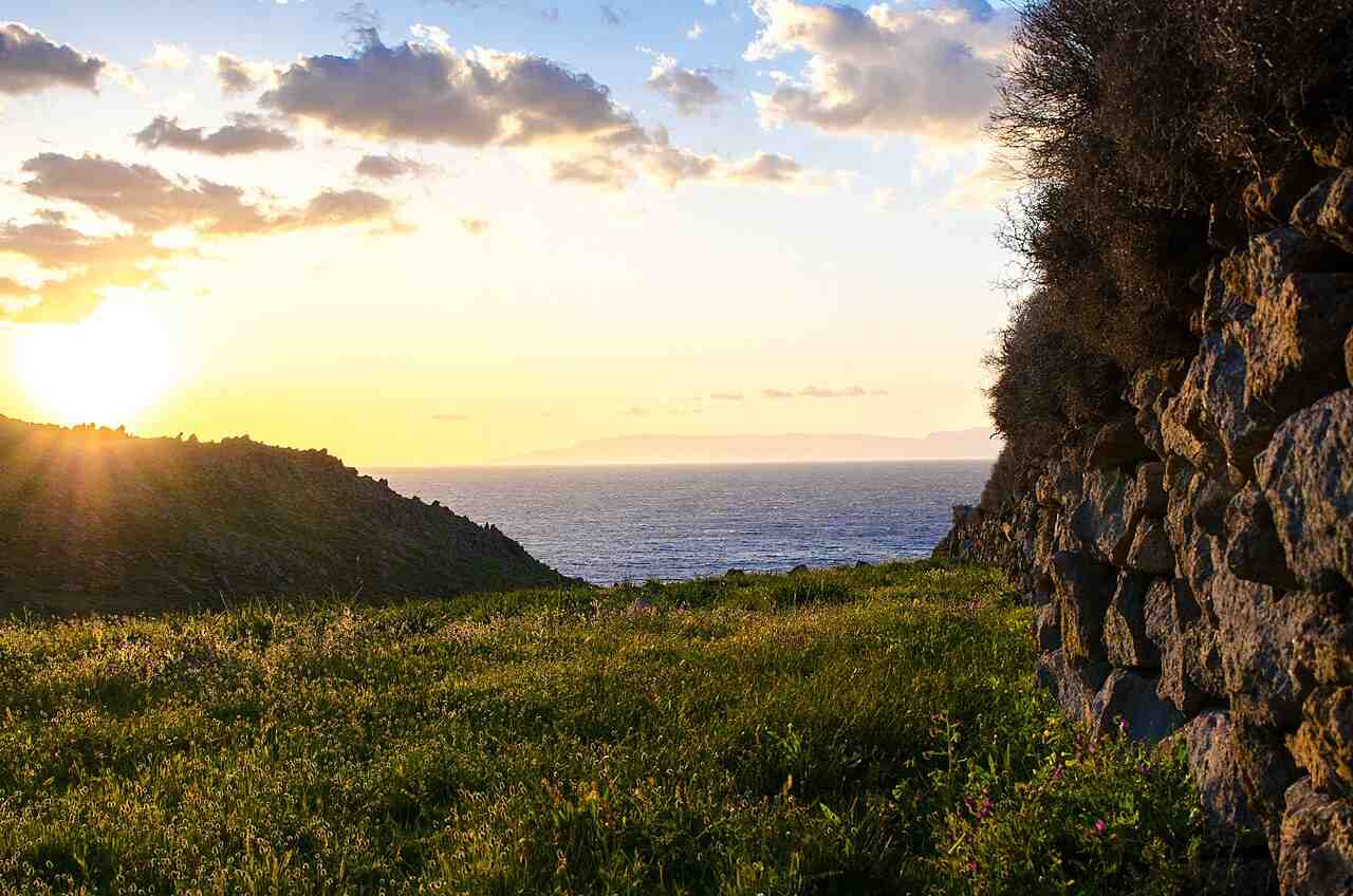 Flowery hillside and a stone wall above the sea on Patmos