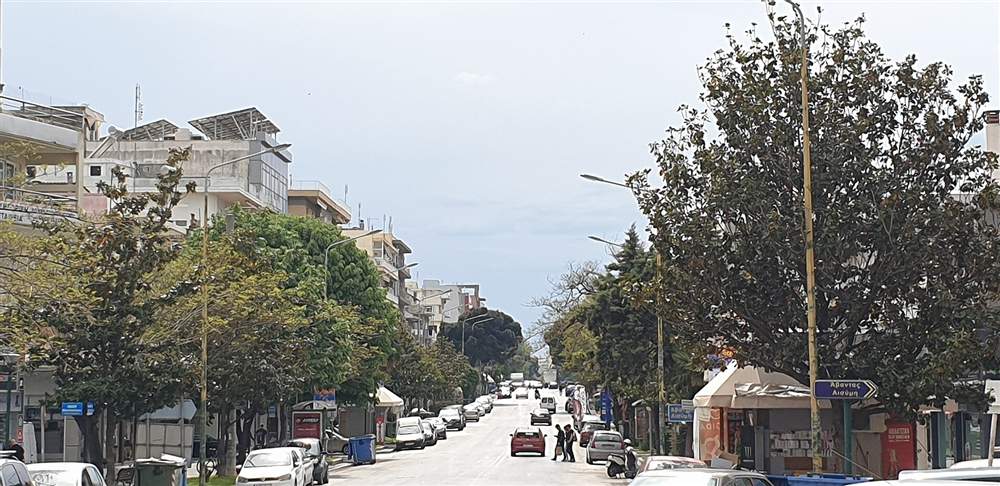 A tree-lined avenue in the city centre of Alexandroupoli, Greece