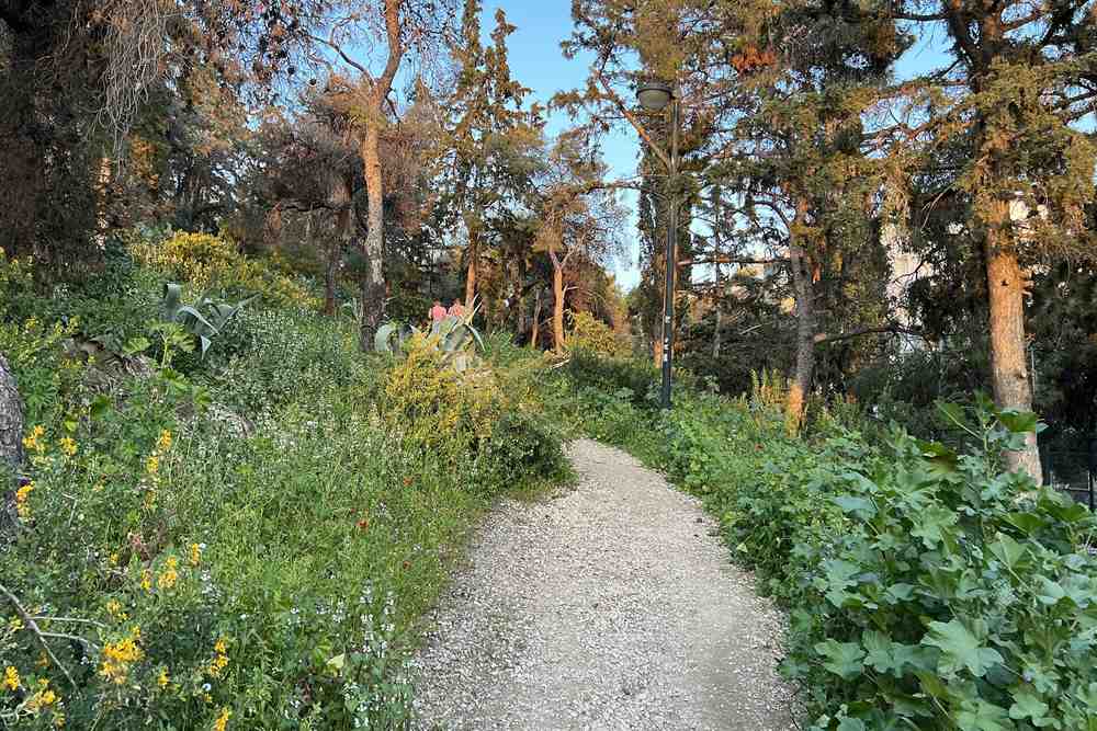 A gravel trail through pines and wildflowers on Lycabettus Hill, Athens