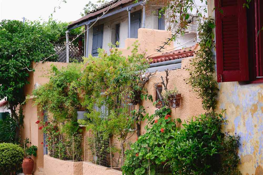 Whitewashed houses and flowers in the Anafiotika lanes below the Acropolis