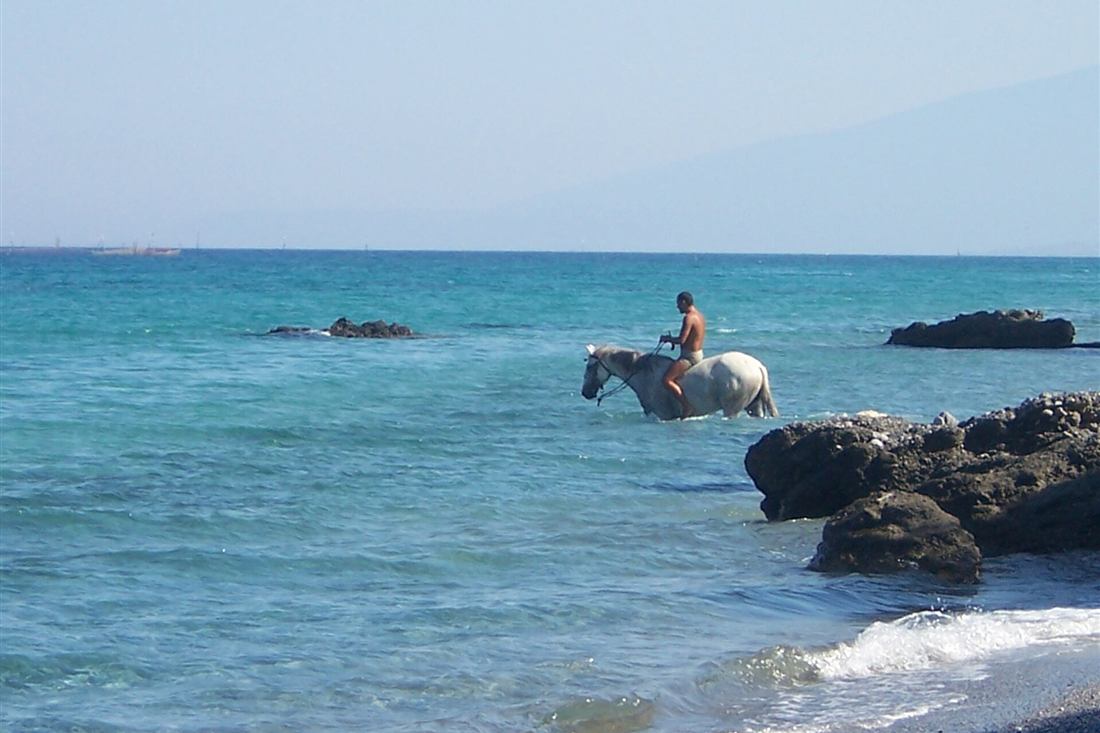 A rider taking a horse into the sea on a Cretan beach