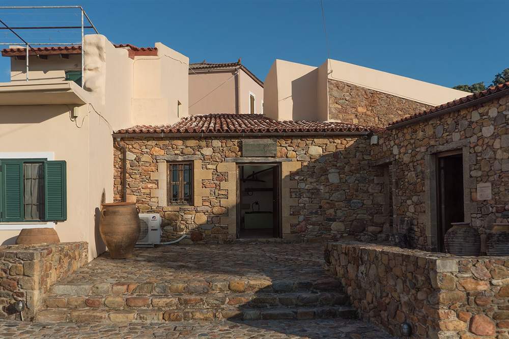 The olive tree museum at Ano Vouves