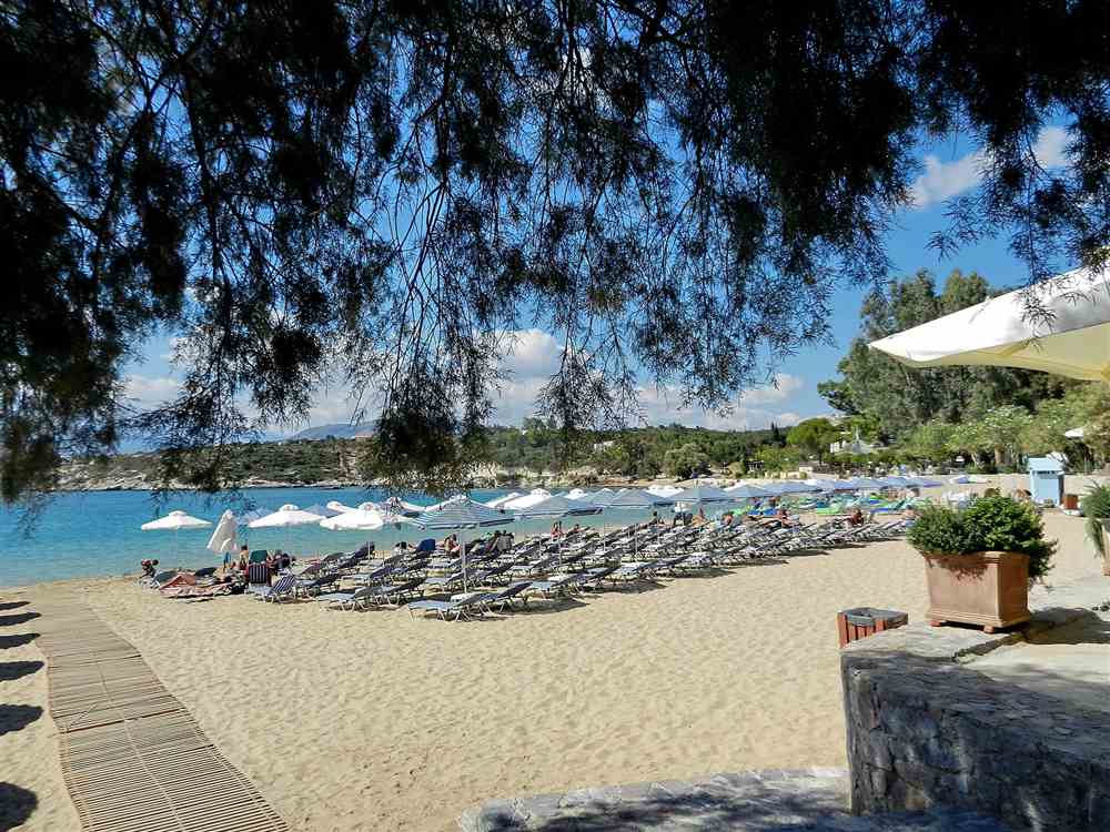 The pine-shaded sandy cove and turquoise water of Marathi beach on the Chania coast