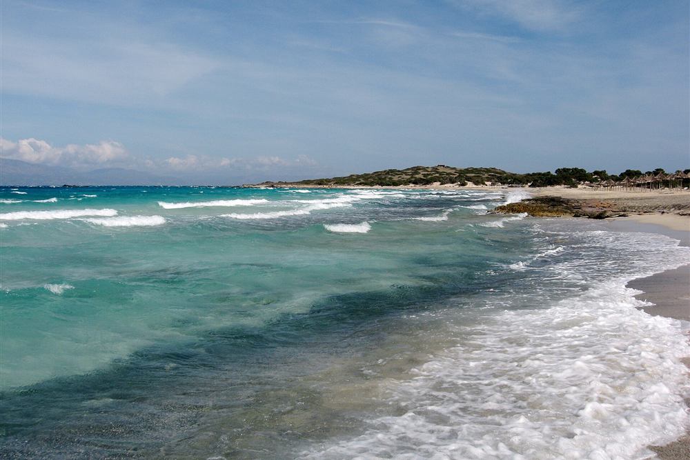 The shell-sand shore of Chrissi island