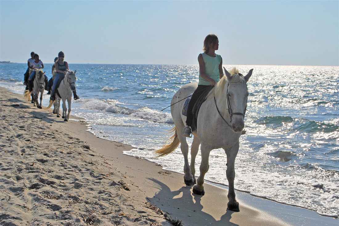Horse riding group on a Greek beach at the waterline on a Corfu trail ride