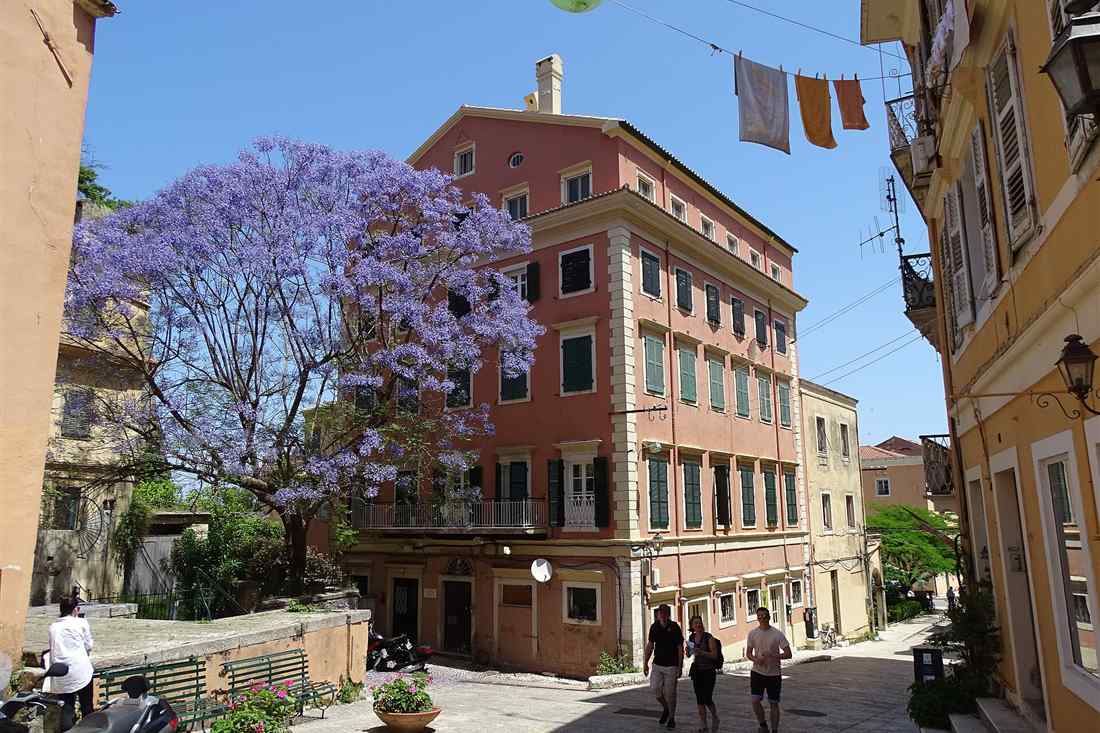 Corfu town walking tour visitors walking through an old town square under a jacaranda tree