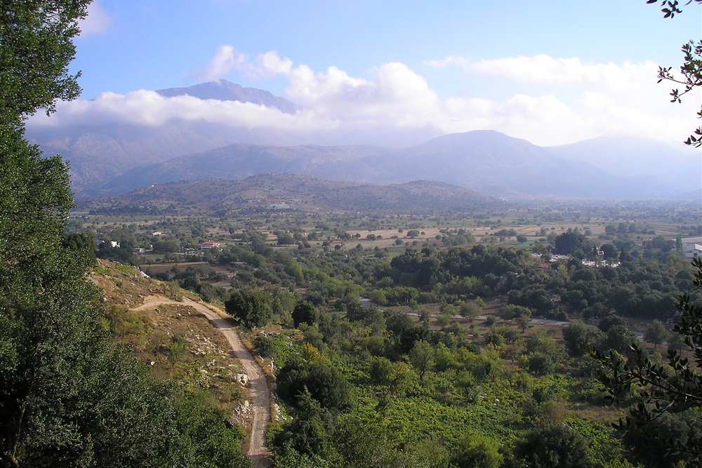 The Lasithi Plateau with the Dikti mountains behind it, the stone-walled plain the balloon crosses after lift-off