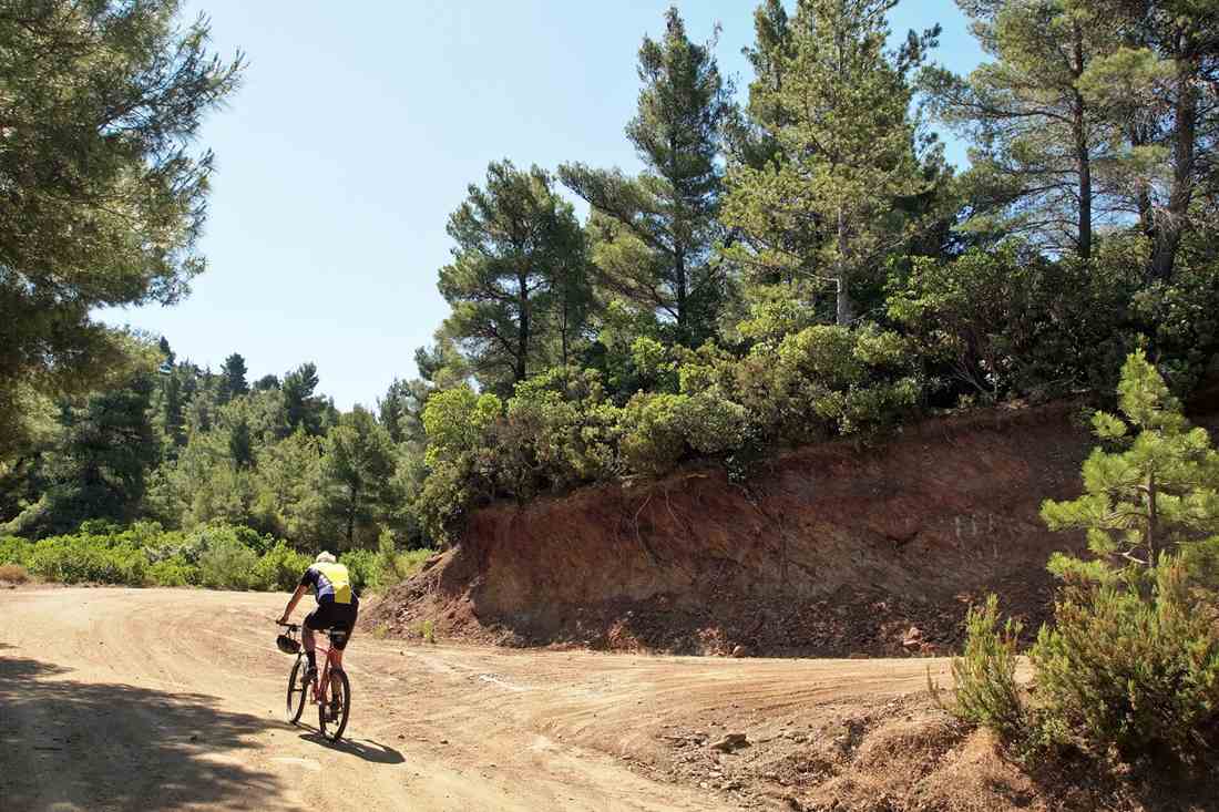 Cyclist riding a forest track through the pines of Sithonia, the terrain of a Halkidiki e-bike tour