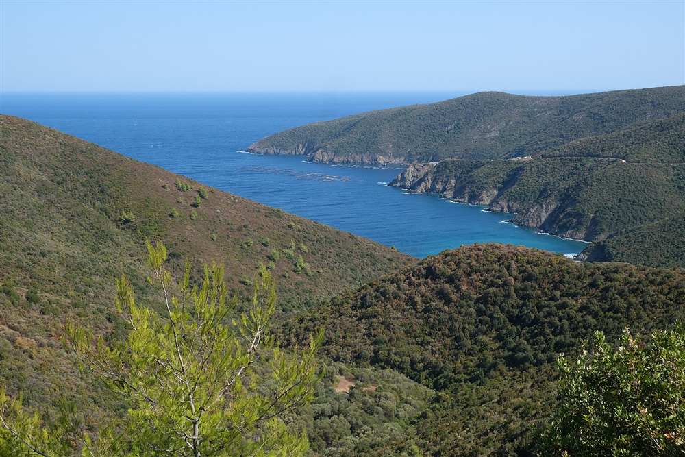 Green hills and a deep blue bay on the coast of the Sithonia peninsula in Halkidiki