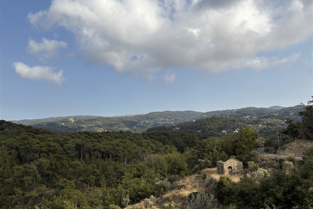 The forested Raches highlands where the Ikarian vineyard terraces are cut