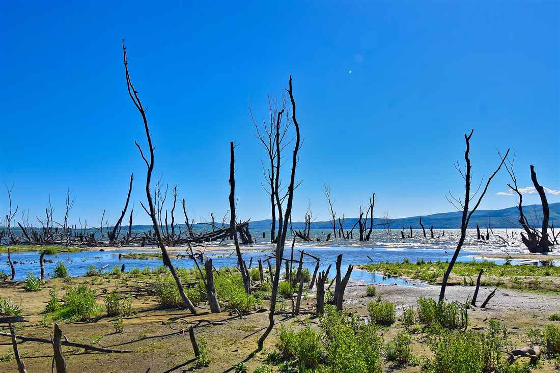 Lake Doirani shore on the border with North Macedonia, Kilkis tours