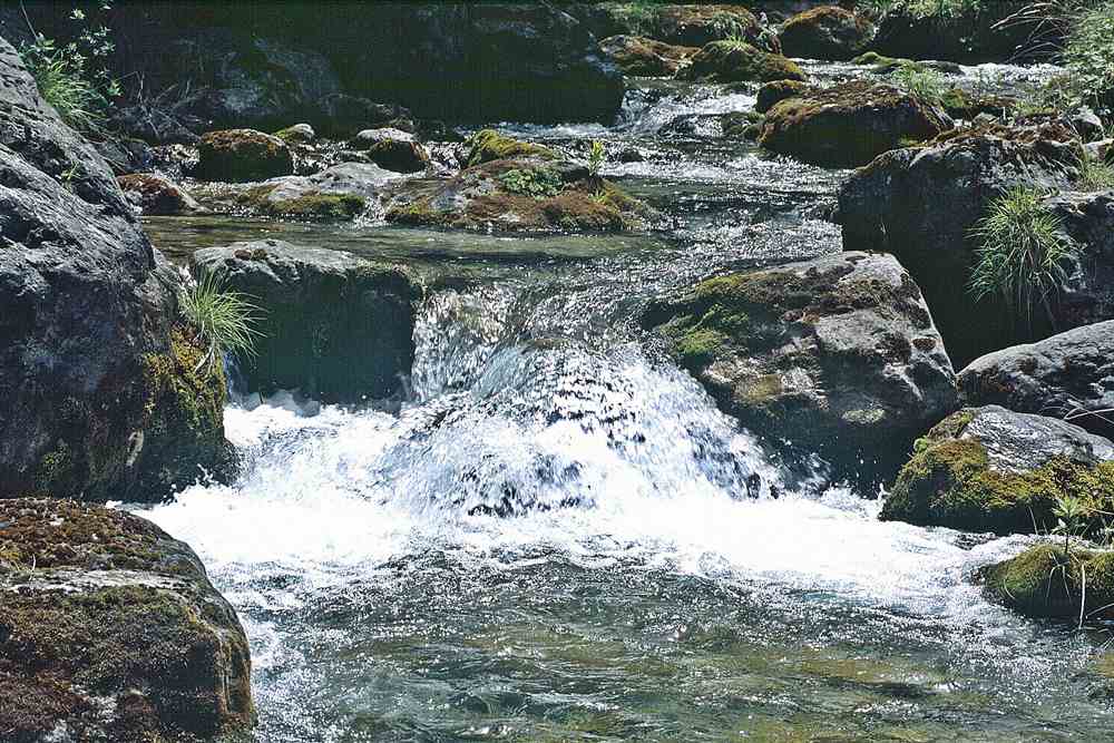 Stream and small waterfall in the Enipeas gorge on Mount Olympus