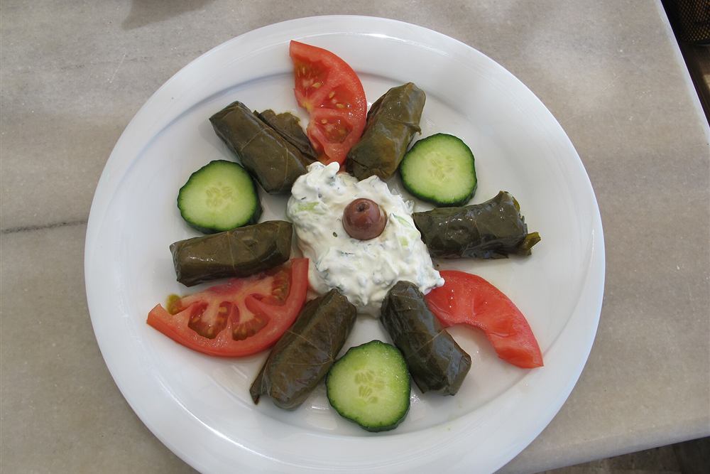 Dolmades rolled in vine leaves with tzatziki, cooked and plated in the class