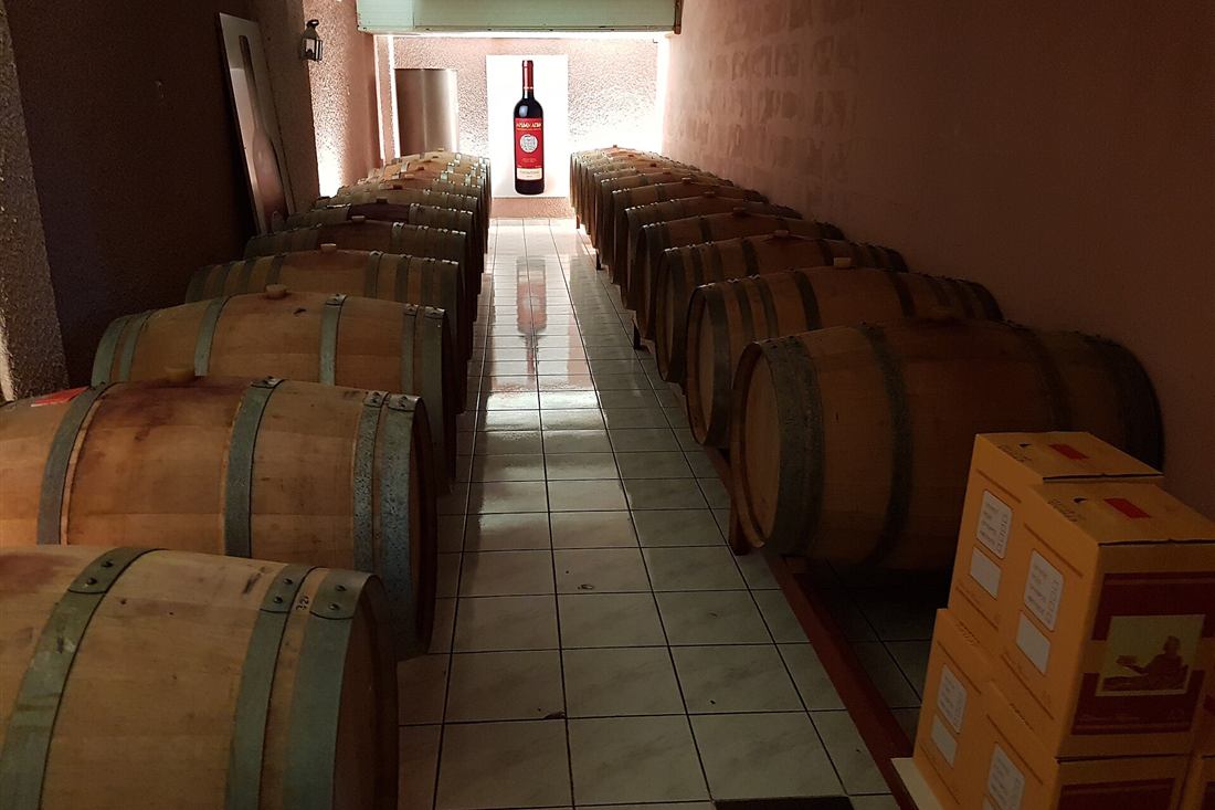 Nafplio wine tour barrel cellar visit at an Argolid winery