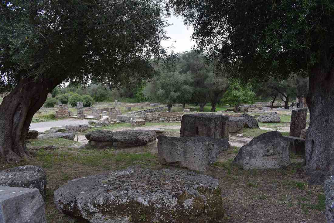 Olive trees growing among the ruins of the sanctuary at Ancient Olympia