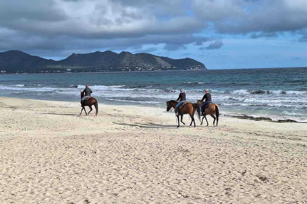 A guided group ride at walking pace along a Mediterranean beach