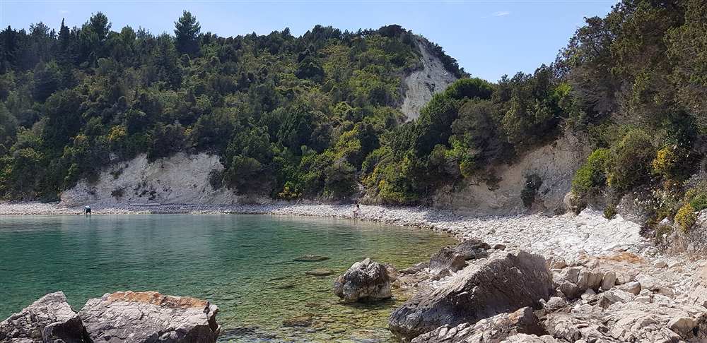 The turquoise sheltered cove of Lakka Bay on Paxos with its white cliffs and pine forest