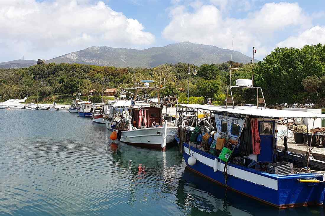 Fishing boats in the harbour of Maroneia below Mount Ismaros, Rodopi tours