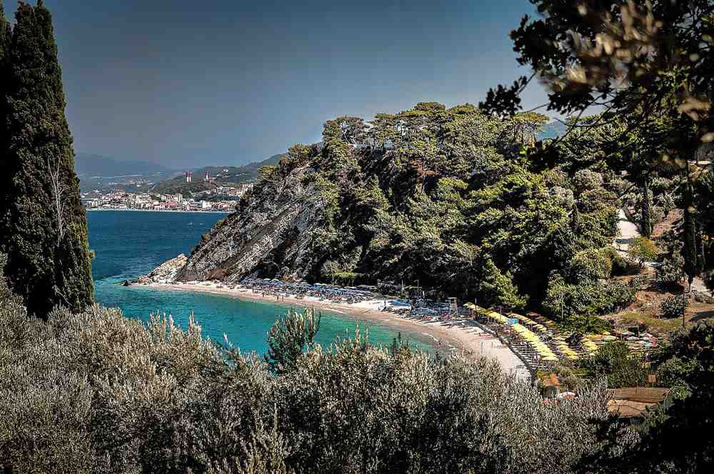 The pine-fringed turquoise cove of Tsamadou beach on the north coast of Samos