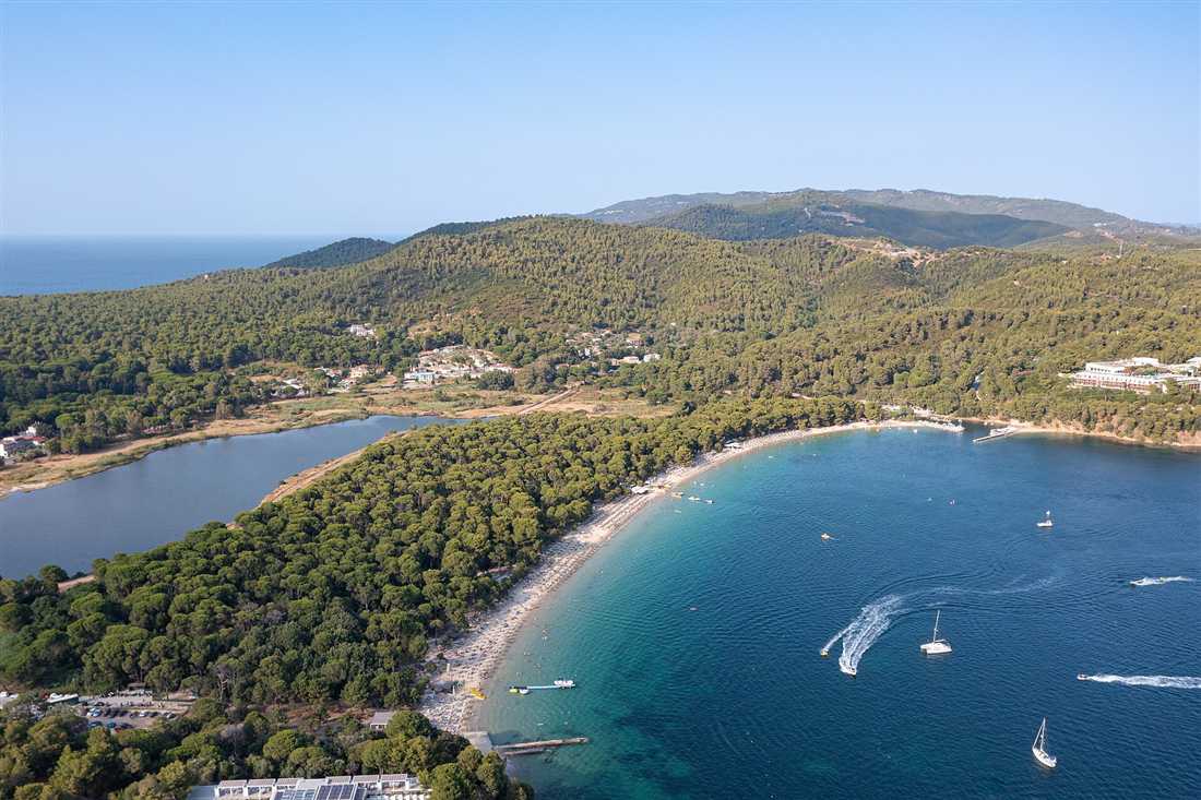 The pine-backed golden sand of Koukounaries Beach on Skiathos, a Skiathos yacht charter anchorage