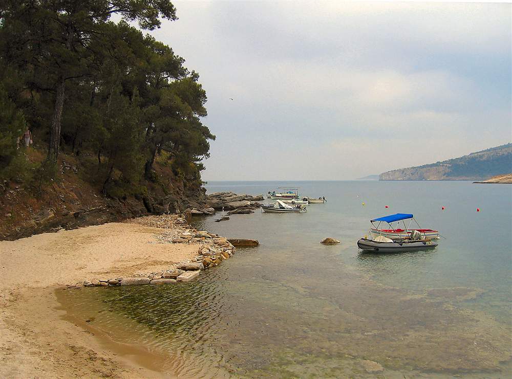 Small boats moored in a pine-fringed cove on the coast of Thassos