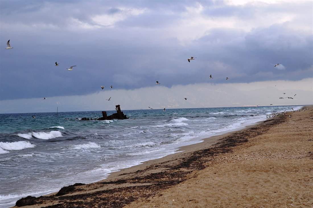 The Epanomi shipwreck standing out of the shallow water down the Thermaic gulf, the set-piece dive of Thessaloniki scuba diving