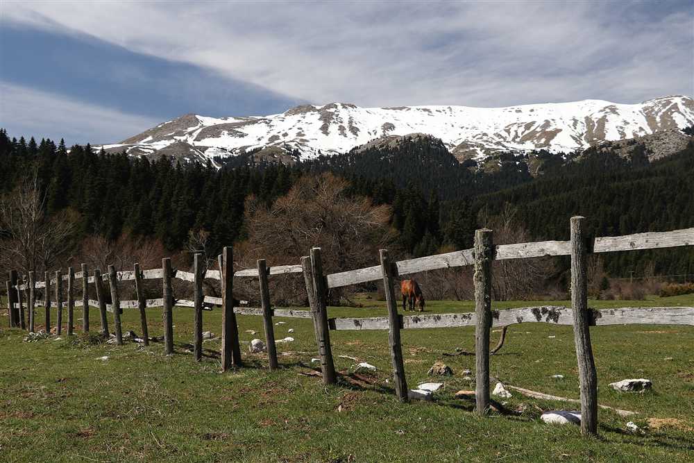 Pertouli meadow below the snowy Koziakas range in the Pindus