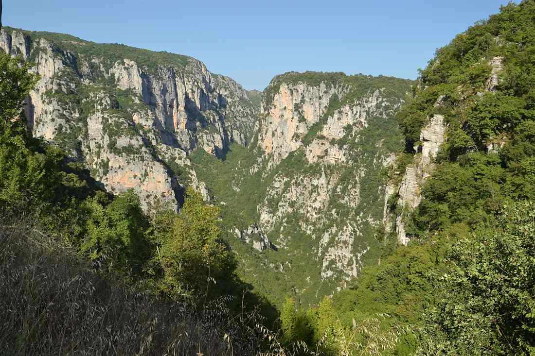 The Vikos Gorge in Epirus, with pale limestone cliffs and green forested slopes under a clear blue sky.