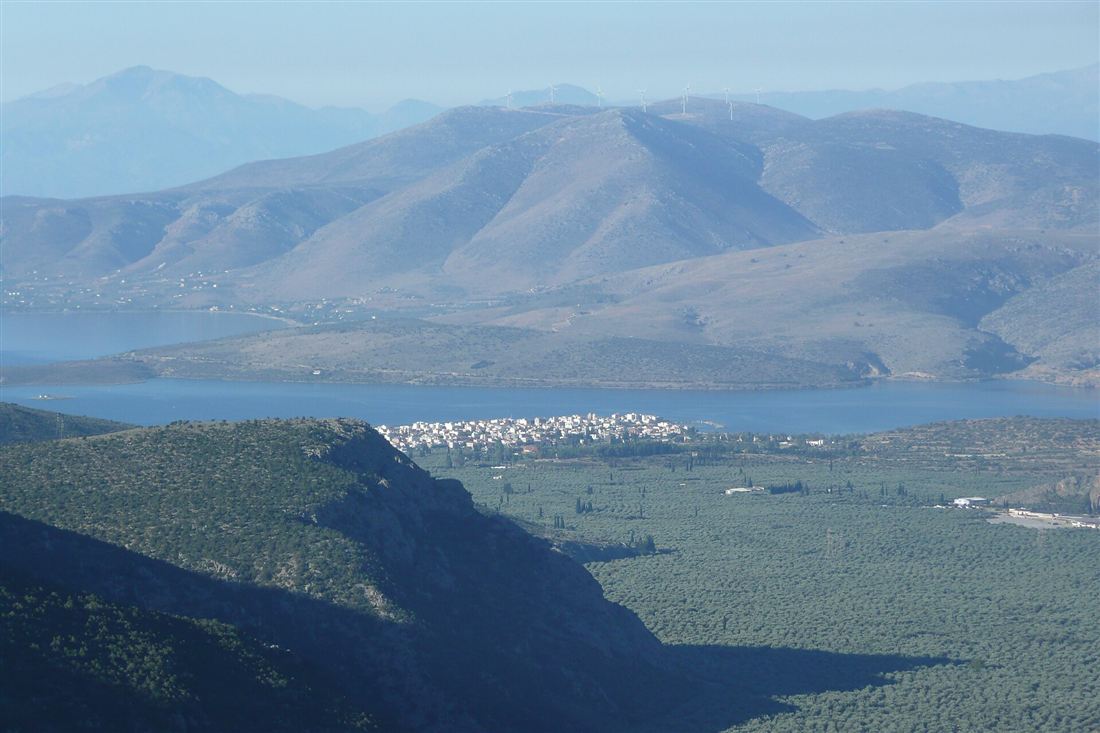 The olive plain below Delphi seen from the mountain, with dense olive groves running to the town of Itea and the Gulf of Corinth.