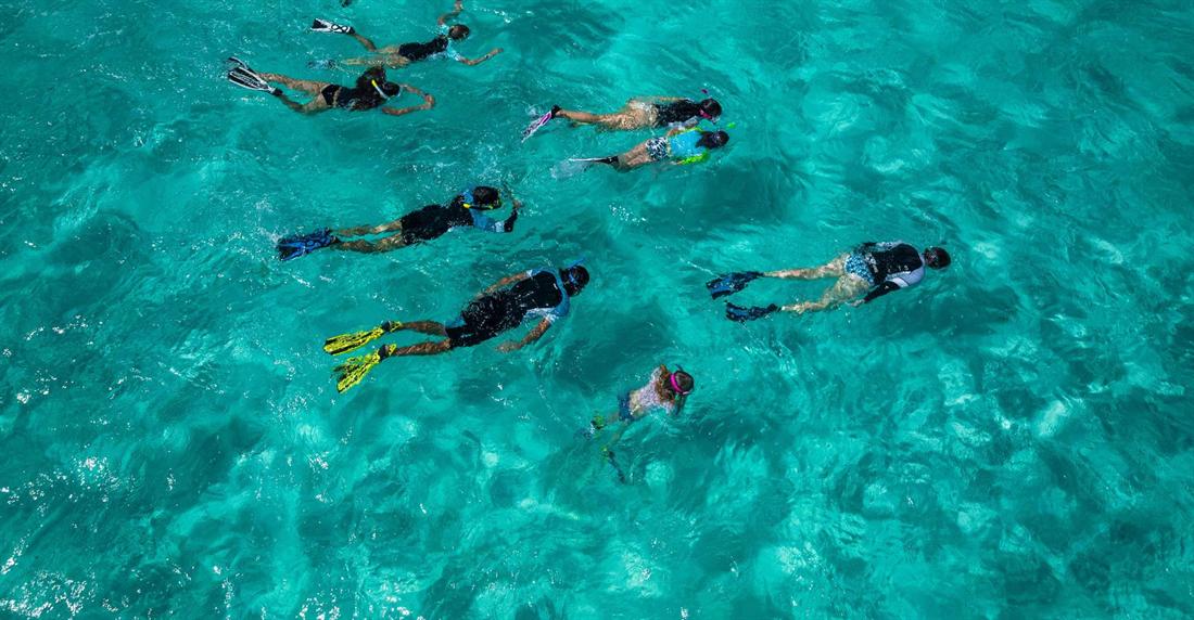 Group of snorkelers with masks and fins swimming face-down across clear turquoise water