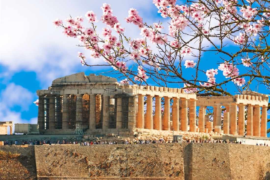 The Parthenon on the Acropolis rock under a blue sky, framed by pink blossom on a branch, the first stop of an Athens wheelchair accessible tour.