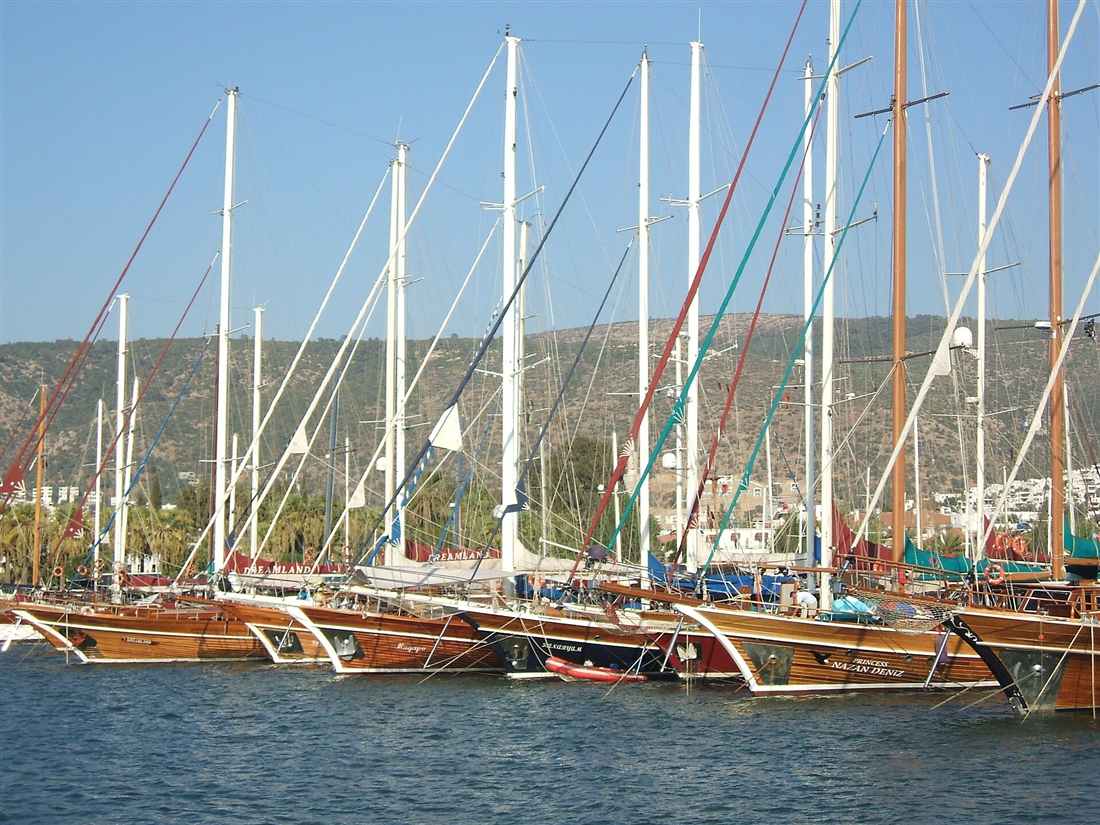 Wooden gulets with tall masts moored side by side in Bodrum harbour.