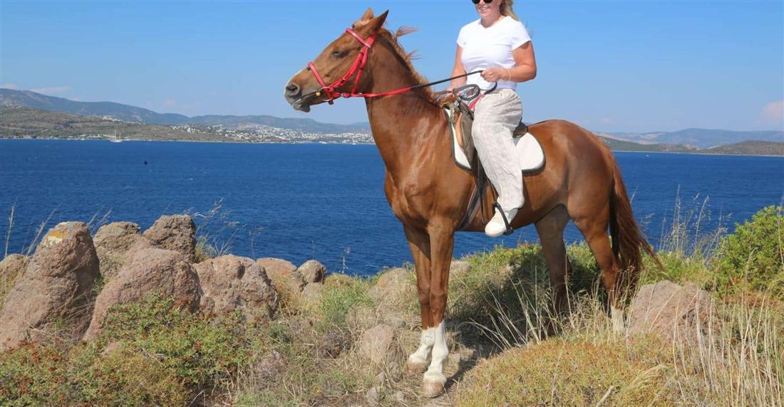 A rider on a chestnut horse on a rocky headland above the blue sea near Bodrum.