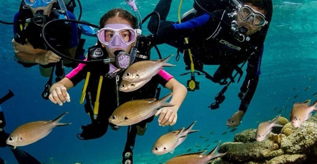 Two scuba divers in masks surrounded by a shoal of silver bream above a rocky seabed.