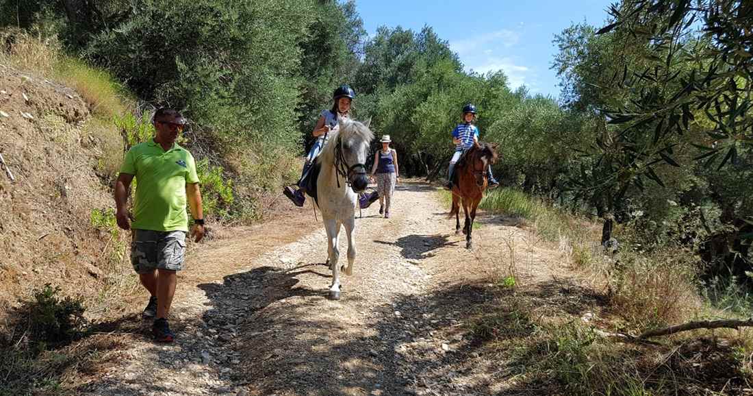 A guide on foot leading children on horseback along an olive-shaded dirt track on the farm tour of a Corfu donkey sanctuary visit.