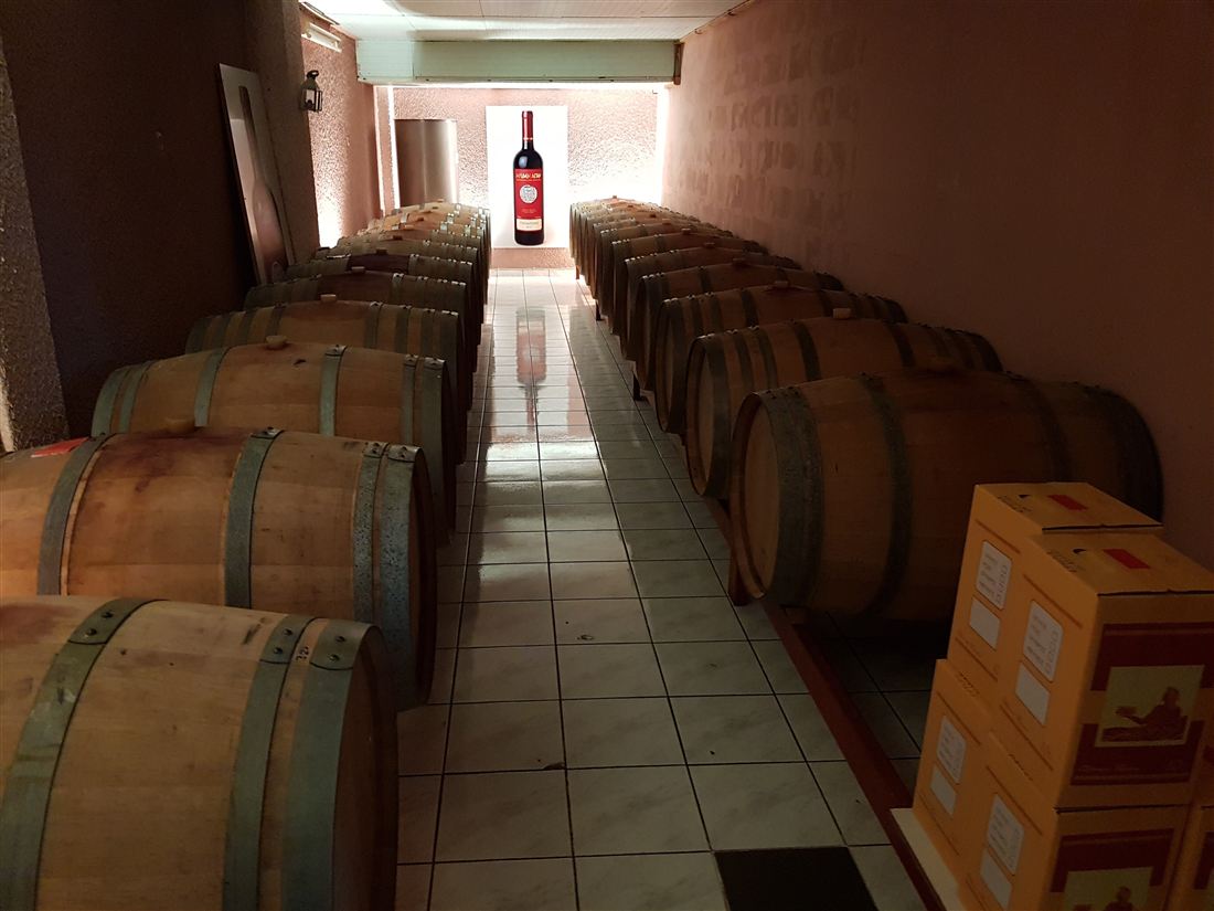 Rows of oak barrels in the cellar of a Peloponnese winery, the part of the estate shown on a Corinth wine tasting.