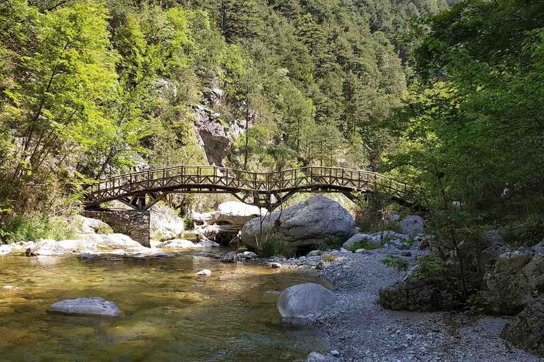 A wooden footbridge arching over the clear Enipeas river between pine-covered gorge walls and boulders