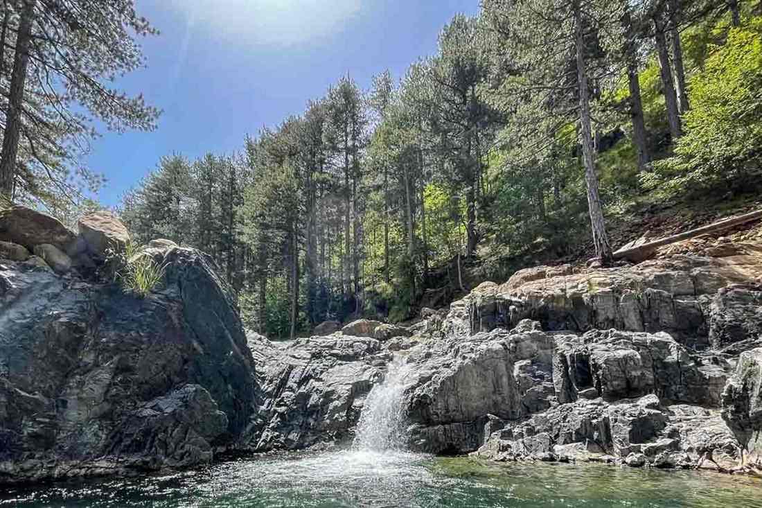 Waterfall dropping into a green pool between grey rocks, with pine forest on the slope above and blue sky