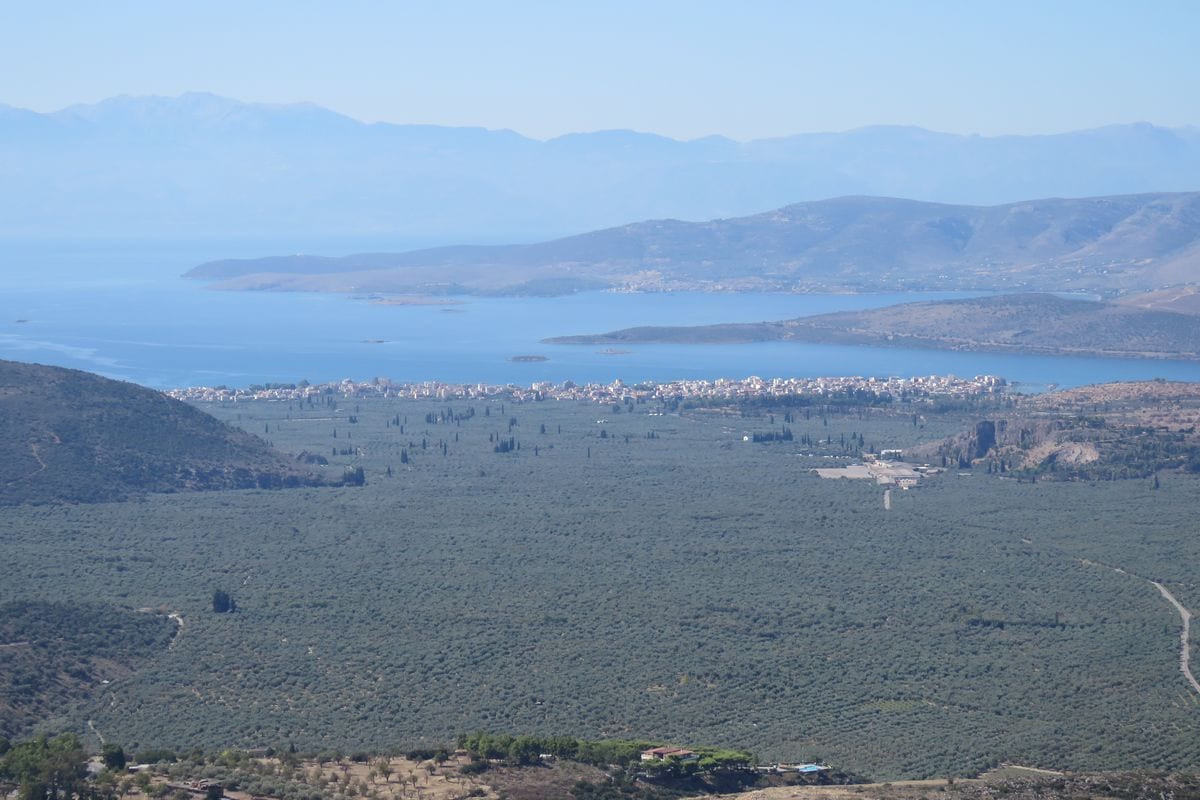 Itea tours cross the olive grove of Amfissa, which runs from Delphi down to Itea on the gulf