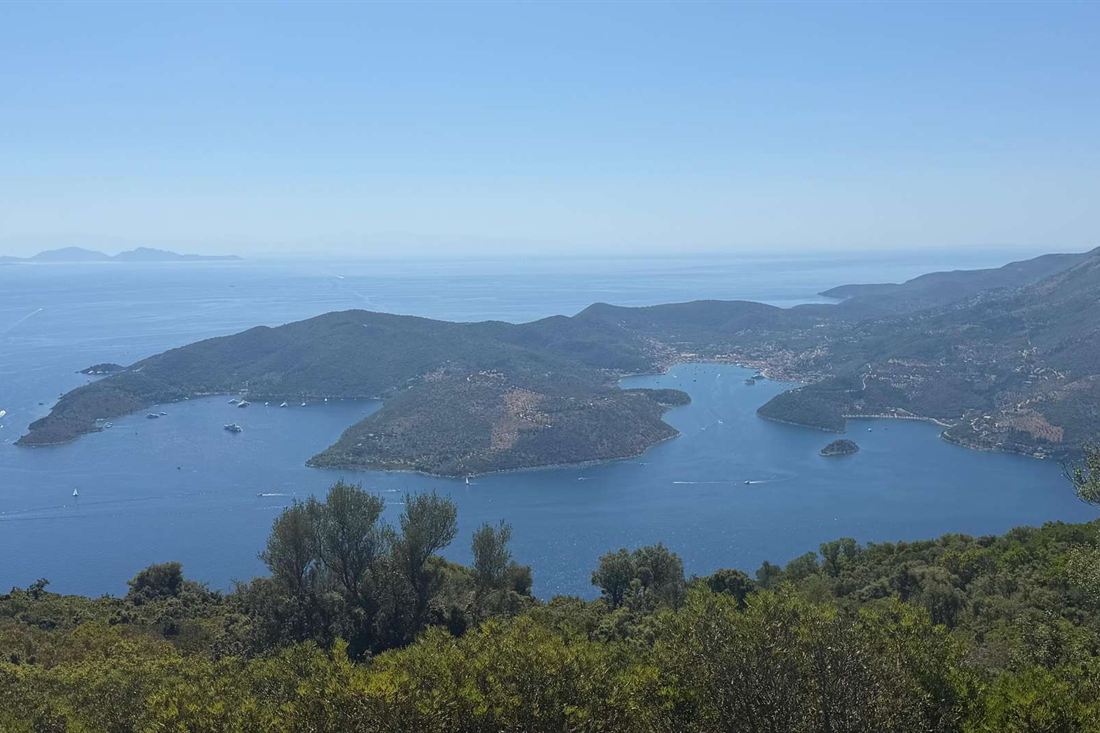 View from a hillside over a blue bay, a wooded peninsula and a harbour town on an island coast