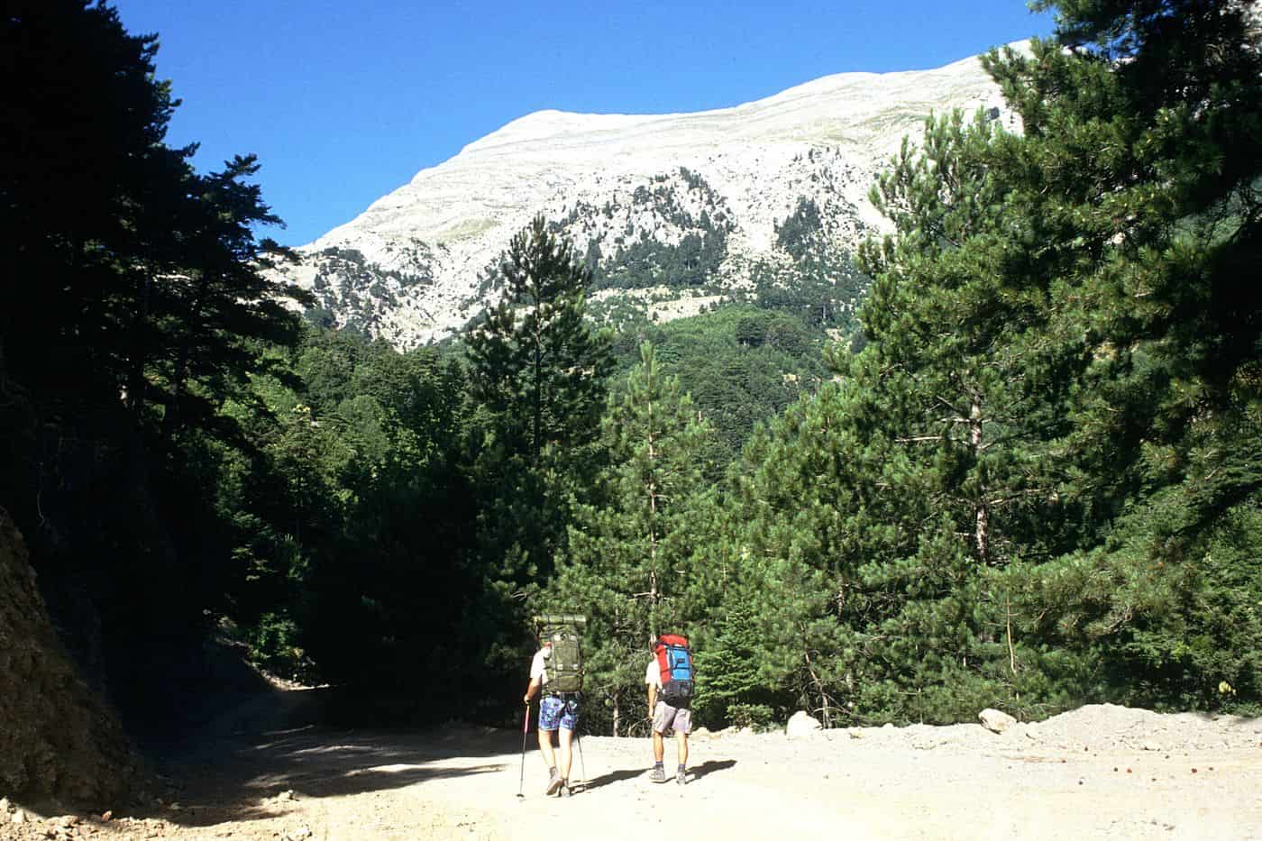 Kalamata hiking on a forest trail below the peaks of Mount Taygetos