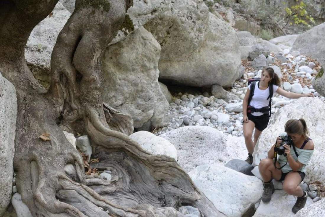 Two hikers among white boulders and an old tree trunk in a dry gorge