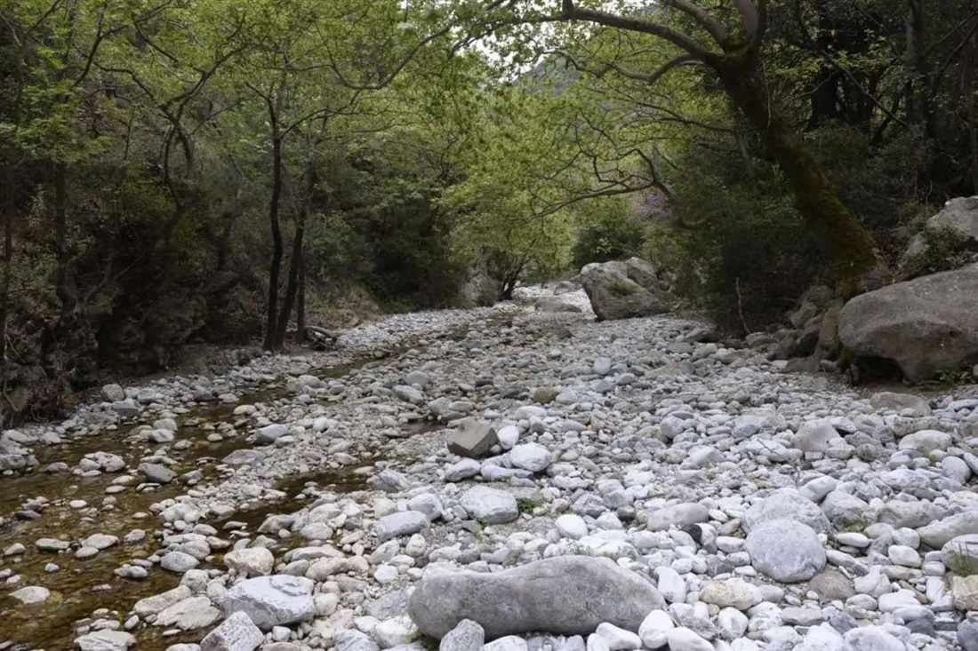 A dry stony river bed shaded by trees in a gorge