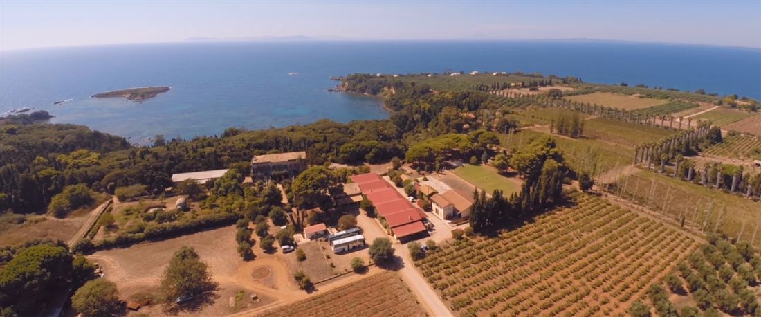 Aerial view of the Mercouri Estate vineyards and cellar buildings by the sea at Korakochori, a stop on a Katakolo wine tasting.