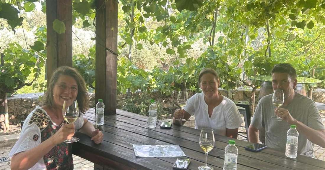Three guests raise glasses of white wine at a wooden table under a vine-covered pergola, on a Kefalonia e-bike tour.