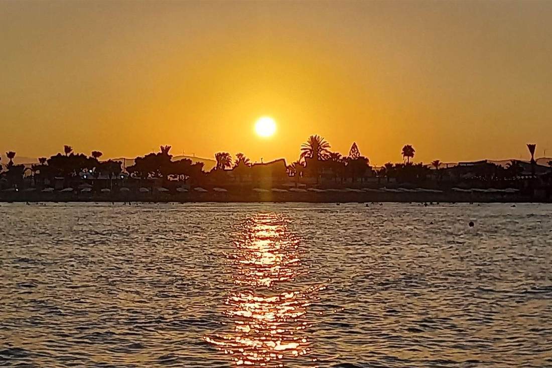 The low sun above a palm-lined shoreline with a bright golden reflection across the sea